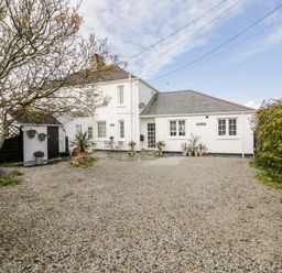 A white house with a gravel driveway surrounded by plants and a tree at Badgers Way in Tintagel