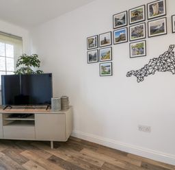 A living room with a television on a stand a plant and framed pictures on the wall at Badgers Way in Tintagel