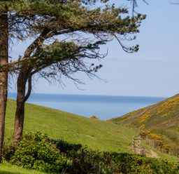 A view of hills and the sea from a grassy area at Carrows Stable in Morwenstow