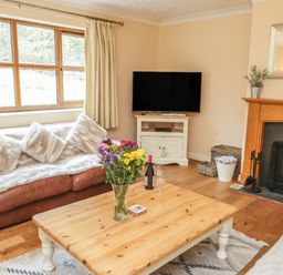 A living room with a leather sofa, a wooden coffee table with flowers, a television on a white stand and a fireplace at Bryn Elsi in Betws-Y-Coed