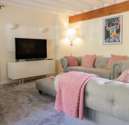 A living room with a gray sofa and pink cushions a television on a white cabinet and a colorful deer painting on the wall at The Old Smithy Cottage in Maentwrog near Penrhyndeudraeth