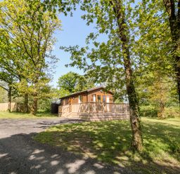 A wooden cabin with a porch surrounded by trees and grass at Dove Lodge in Highampton near Sheepwash