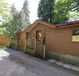 A wooden cabin with a small porch and steps surrounded by trees at Forest Pines Lodge in Beech Hill 10 Fallbarrow Park near Bowness on Windermere