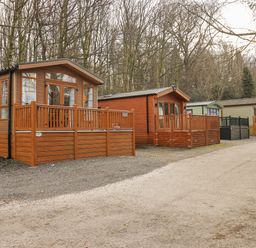 A row of wooden caravans with porches by a gravel road in a wooded area at Squirrels Snug in Pony Meadow 1 White Cross Bay near Windermere