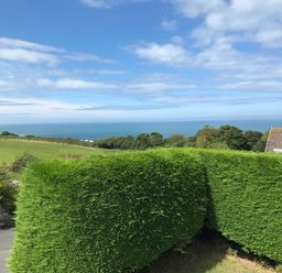 A view of hedges with a field trees and ocean under a partly cloudy sky at Aelwyd Y Don in Tresaith
