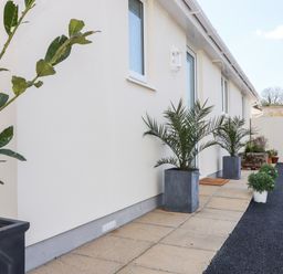 An exterior walkway with potted plants along a cream wall at Chy-Whel in Sticker