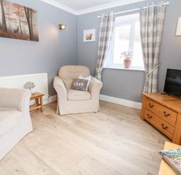 A living room with two armchairs a wooden TV stand and a window with checkered curtains at Farm View Lodge in Painswick