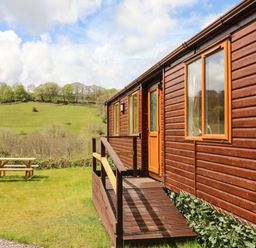 A wooden cabin with a ramp leading to the door and a picnic table on the grass outside in a rural setting at Exe Valley Lodge in Bampton Devon