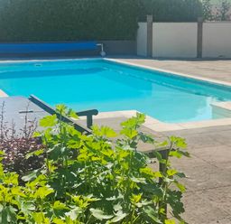 An outdoor swimming pool with blue water surrounded by a paved area and green plants at The Pool House in Crediton