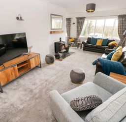 A living room with sofas a television and a wood stove at The Dingle in Wisemans Bridge near Stepaside