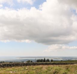 A rural landscape with a grassy field and stone wall under a cloudy sky