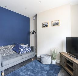 A living room with a grey sofa and cushions a floor lamp a grey pouf a plant and a television on a wooden stand at Nantlle in Caernarfon