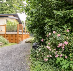 A gravel pathway next to a wooden deck and pink flowers along the side at Robin Lodge in Cartmel