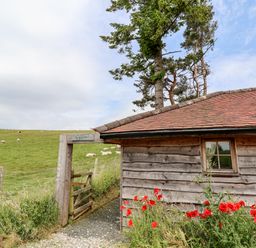 A wooden gate and fence next to a wooden building with a small window and red flowers in front of it with a grassy field and sheep in the background at Y Caban Pontfadog near Llangollen