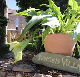 A potted plant with a rock engraved Roncons Villa in a garden with a stone building and wooden gate in Goldsithney