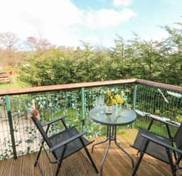 A small outdoor balcony with two black chairs a glass table with a bottle of wine two glasses and a vase of yellow flowers surrounded by trees at Packhorse Shepherd's Hut in Alderwasley near Wirksworth