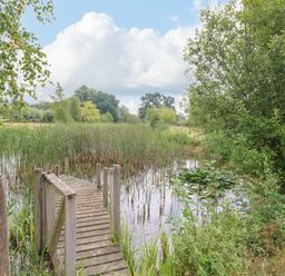 A wooden footbridge over a pond with reeds and trees at The Lodge in Hickling near Catfield