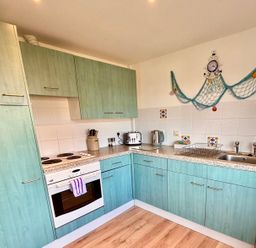 A kitchen with green cabinets a stove oven toaster kettle and sink with a drying rack at Trevone - Chalet 130 in St Merryn near Padstow
