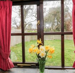 A window with pink curtains and a vase of yellow and white flowers on the windowsill overlooking a garden with a wooden fence and trees at Wagtail in Bradworthy near Bude