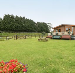 A green lawn with picnic tables and benches near a wooden lodge surrounded by trees at Hill View Lilac Lodge in Wareham