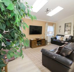 A living room with two leather sofas a wall-mounted television and a large indoor plant at RoseGrace Lodge in Auchterarder