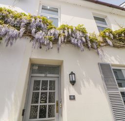 The exterior of a house with a door numbered 16 purple flowers growing above the entrance and windows with shutters at Saltwater Cottage in Babbacombe