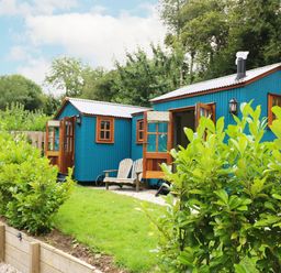 Two blue wooden cabins with open doors and windows with wooden frames surrounded by green bushes and trees at Little Silver Pheasant in High Bickington