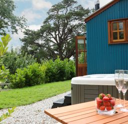A hot tub in a garden area with a table holding strawberries glasses and a bottle near a blue building at Little Silver Pheasant in High Bickington