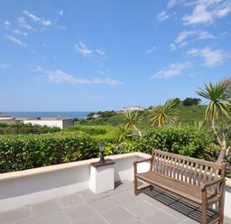 An outdoor space with a bench and plants overlooking the sea at Sunset in Polzeath