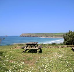 A picnic table on a grassy area overlooking a beach and cliffs at Gullsway Kittiwake Polzeath