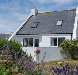 A white house with a sloped roof and skylight windows surrounded by a garden with purple flowers at Kirra in Polzeath
