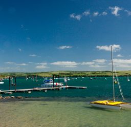 A marina with boats on water and people near a dock at Upper Deck in Rock