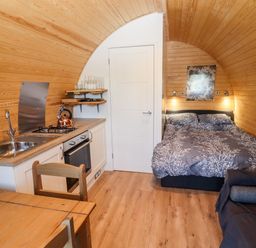A small wooden room with a kitchen area a bed and a dining table at Goose Pod Near Clifton Upon Teme