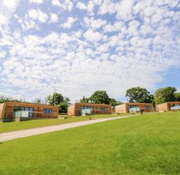 Four wooden cabins on a grassy hill with a gravel path and trees in the background at Cava Seaview