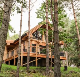 A wooden cabin with a raised porch among trees in a forest at Pine Marten Lodge in Dulnain Bridge near Nethy Bridge