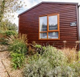A garden with various plants and a wooden building with a window and sign reading Orchard View in Bossiney near Tintagel