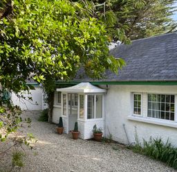 Exterior of a white cottage with a gravel path green plants and a small porch at Rocklea Seaside Cottage in Newcastle County Down