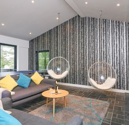 A living room with two hanging bubble chairs a ping pong table and grey sofas with colorful pillows at Landmark in Salcombe