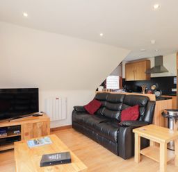 A living room with a black leather sofa with red cushions a wooden coffee table and a TV on a wooden stand at Owl Lodge South Laggan near Invergarry