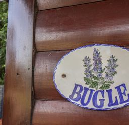 A sign with the word Bugle and a flower illustration at Bugle in Saltburn-By-The-Sea