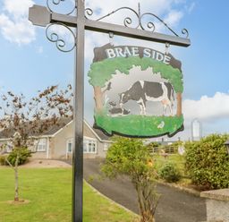 A metal sign with pictures of cows and the text brae side near a driveway and a house at Braeside Farm House in Cloughmills