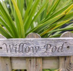 A wooden sign with Willow Pod carved on it in front of green spiky leaves at Willow Pod in Arundel West Sussex