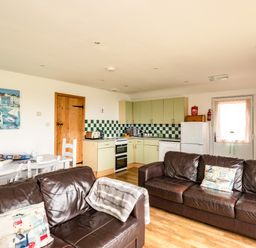 An open-plan living room with two brown leather sofas and an adjacent kitchen with green cabinets at Campion Lodge in Port Isaac