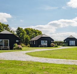 Three black wooden cabins with picnic tables on grass and a gravel path with trees in the background at Puffin Lodge in Port Isaac