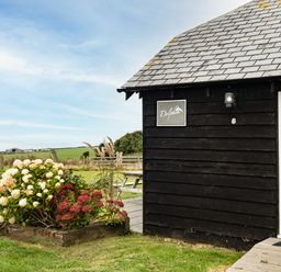 A black wooden building with a white door and flowers outside at Dolphin Lodge in Port Isaac