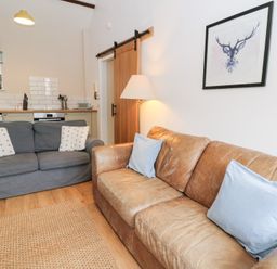 A living room with two sofas a floor lamp a framed deer picture and a kitchen area at Dryslwyn Cottage in Llandeilo