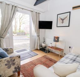 A sitting room with a patterned armchair pillows a TV and a small table with a lamp at Dinefwr Cottage Golden Grove near Llandeilo