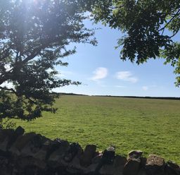 A grassy field bordered by a stone wall with trees and a blue sky at Barn End 9 Stad Clynnog in Newborough
