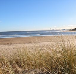 A sandy beach with grass in the foreground and wind turbines on the horizon at Wansbeck View 2 in Ashington