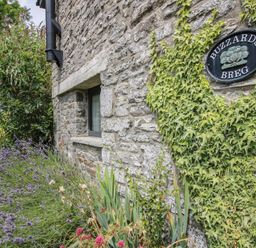 A stone wall with a house sign and plants at Buzzards Breg in Builth Wells